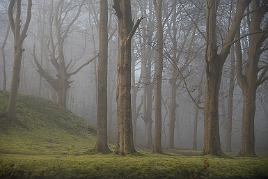 20210228-_D751456