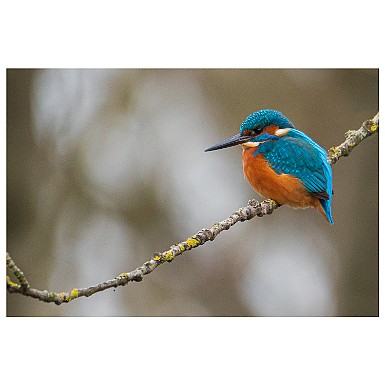 Instagram_nature-27