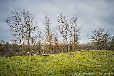 20200315-D75_2497