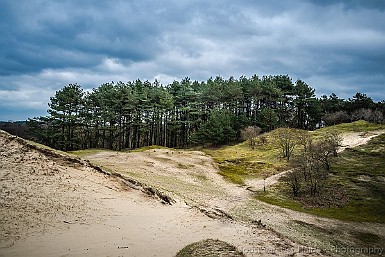 20200315-D75_2544