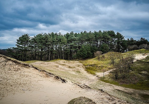 Waterleidingduinen